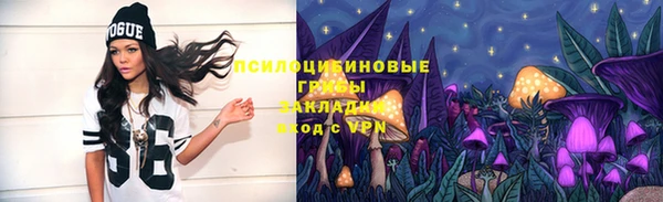 твердый Михайловск