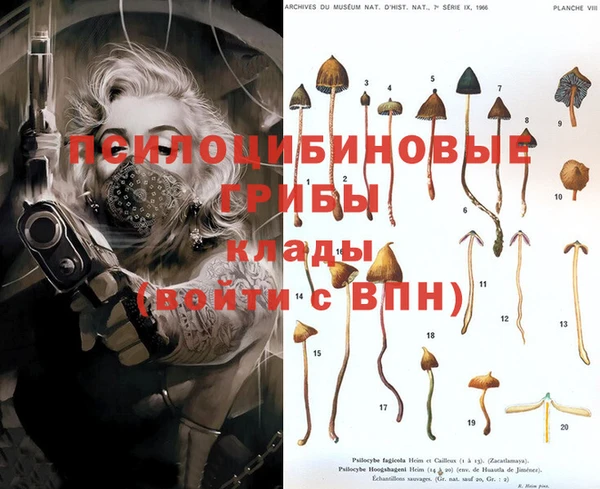 не бодяженный Наволоки