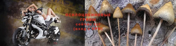 СК Михайлов